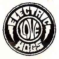 Electric Love Hogs : Electric Love Hogs. Album Cover