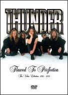 Thunder : Flawed to perfection - the video collection 1990-1995. Album Cover