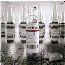 Lacuna Coil : Dark Adrenaline. Album Cover